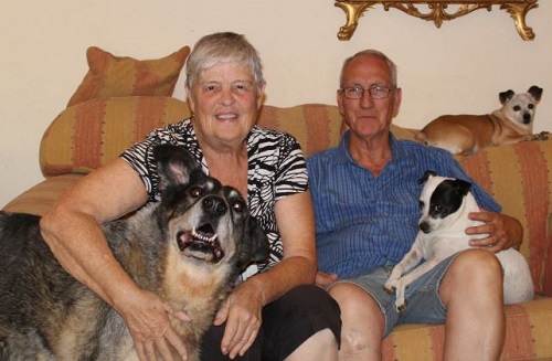 Meet Fulham Couple Dedicated to Rescuing Dogs in Spain 